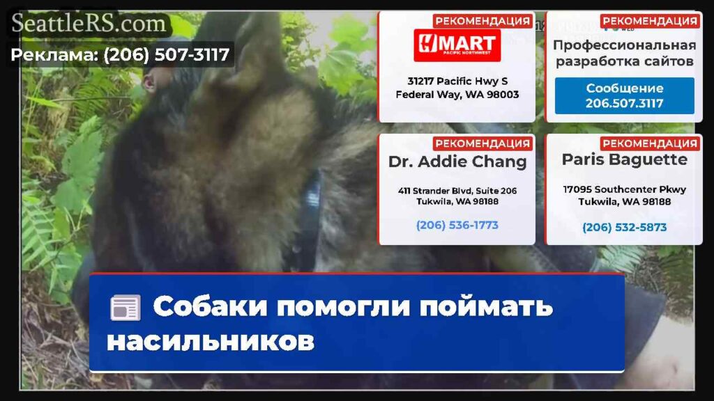 Собаки помогли поймать насильников