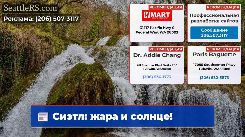 Сиэтл: жара и солнце!