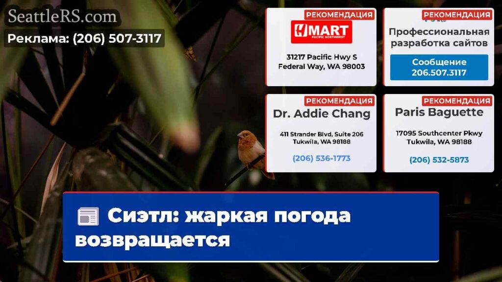 Сиэтл: жаркая погода возвращается