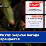Сиэтл жаркая погода возвращается