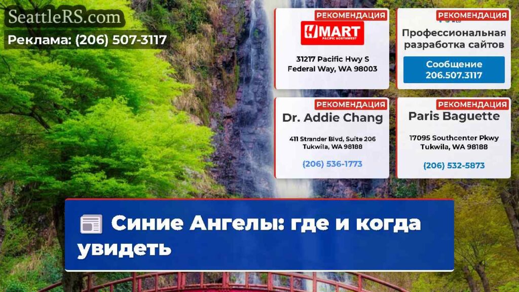 Синие Ангелы: где и когда увидеть