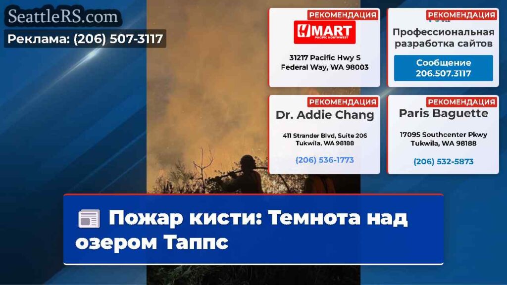Пожар кисти: Темнота над озером Таппс
