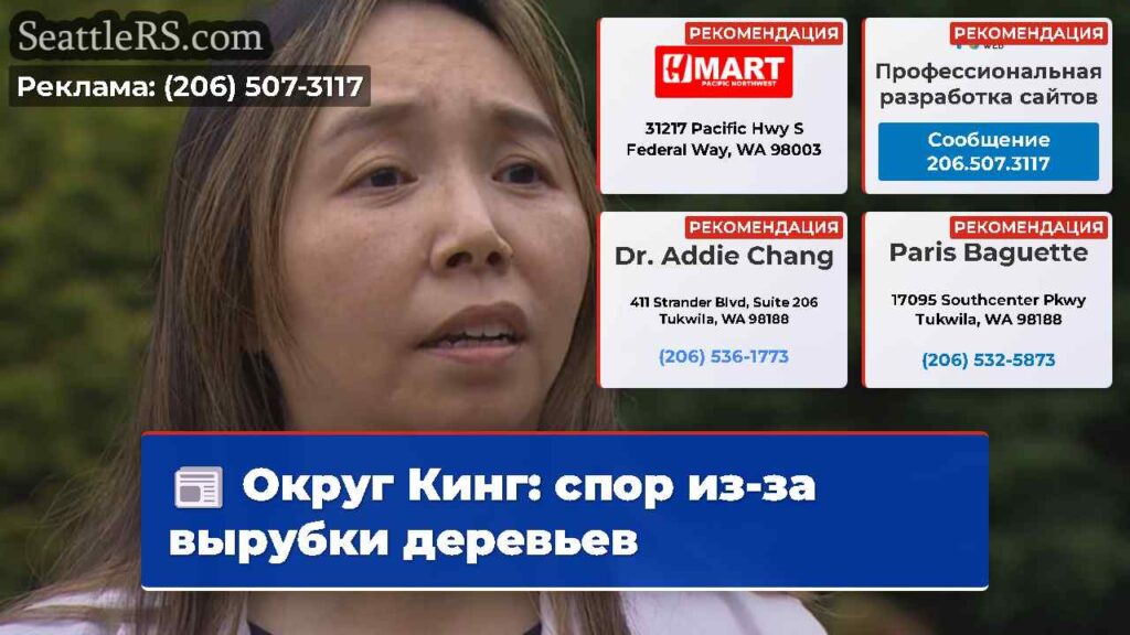Округ Кинг: спор из-за вырубки деревьев