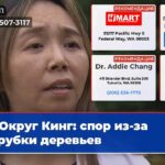 Округ Кинг спор из-за вырубки деревьев