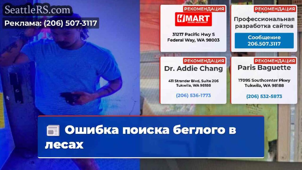 Ошибка поиска беглого в лесах