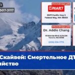 Скайвей Смертельное ДТП убийство
