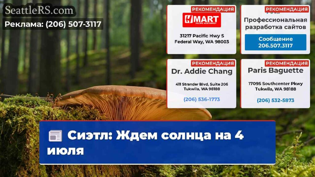 Сиэтл: Ждем солнца на 4 июля