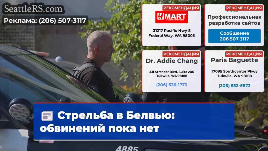 Стрельба в Белвью: обвинений пока нет