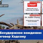 Безудержное вождение приговор Хадсону