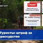 Туристы штраф за безрассудство