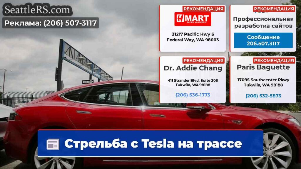 Стрельба с Tesla на трассе