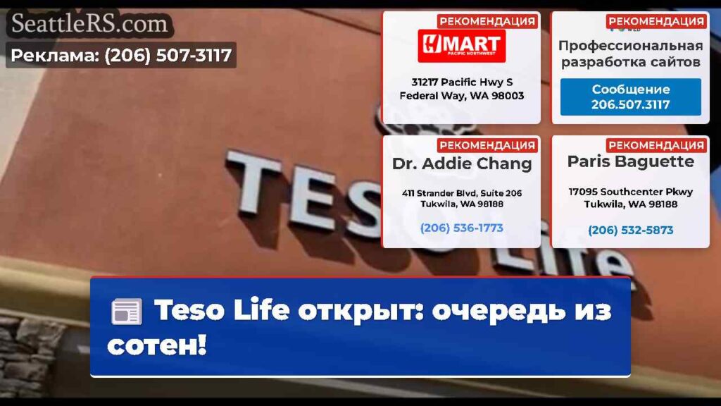 Teso Life открыт: очередь из сотен!
