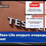 Teso Life открыт очередь из сотен!