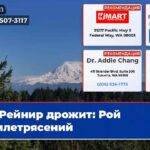 Рейнир дрожит Рой землетрясений