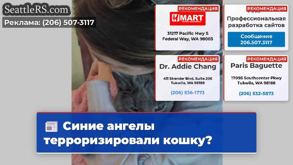 Синие ангелы терроризировали кошку?