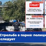 Стрельба в парке полиция расследует