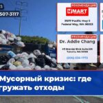 Мусорный кризис где выгружать отходы