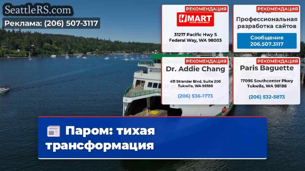 Паром: тихая трансформация
