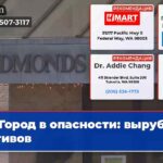 Город в опасности вырубка активов