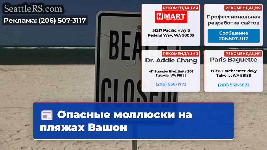 Опасные моллюски на пляжах Вашон