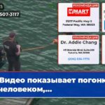 Видео показывает погоню за человеком…