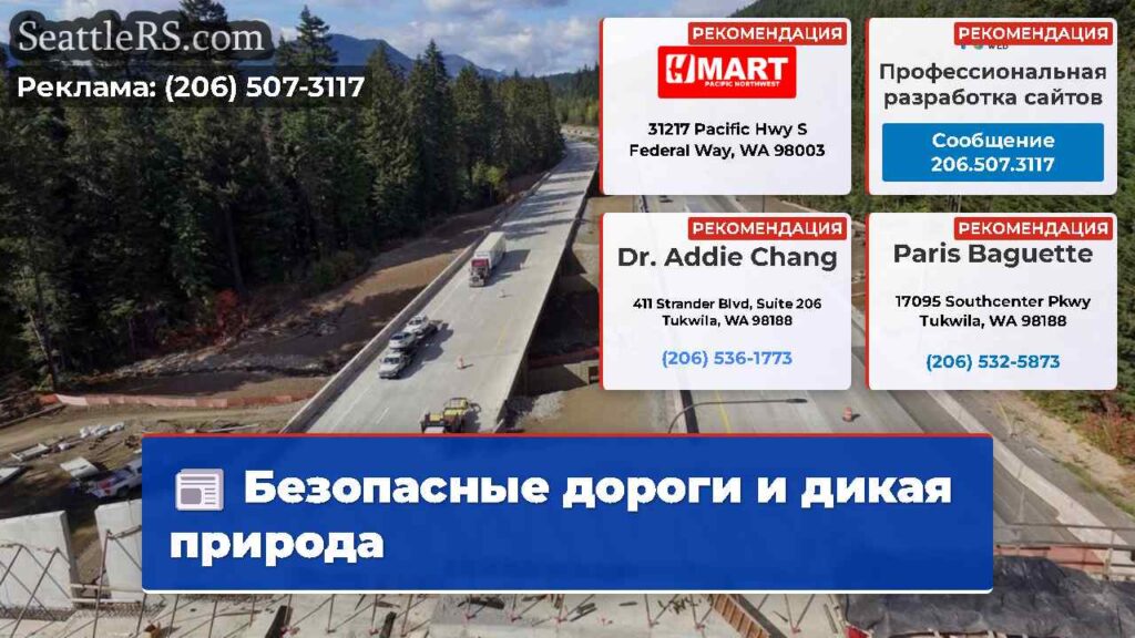 Безопасные дороги и дикая природа