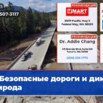 Безопасные дороги и дикая природа
