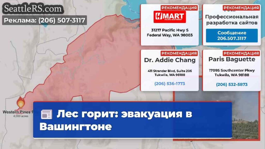 Лес горит: эвакуация в Вашингтоне