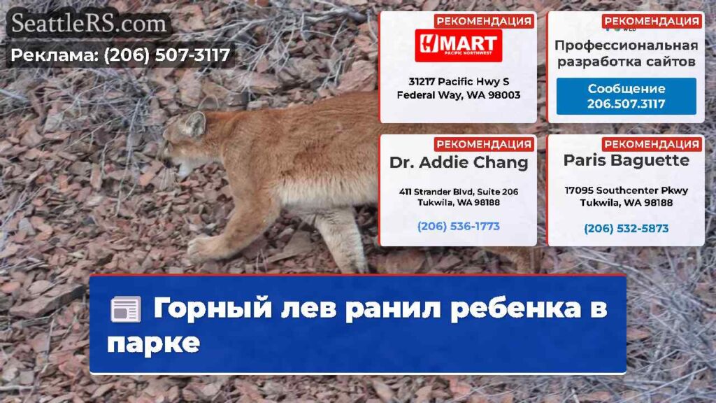 Горный лев ранил ребенка в парке