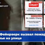 Фейерверк вызвал пожар семья на улице