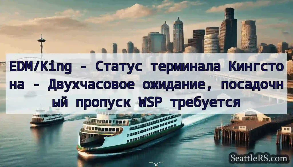 EDM/King - Статус терминала Кингстона -