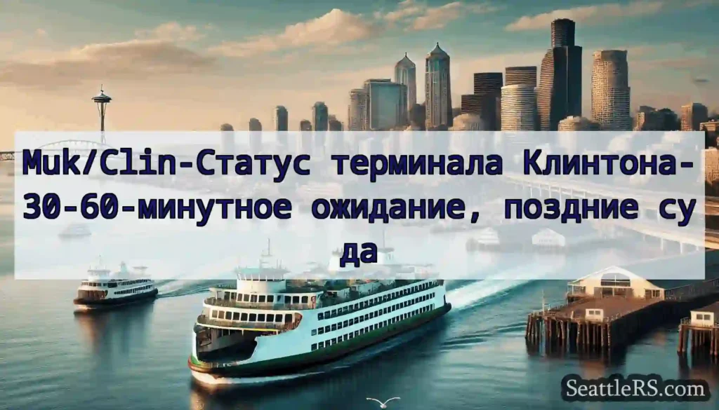 Muk/Clin-Статус терминала Клинтона-30-60-минутное