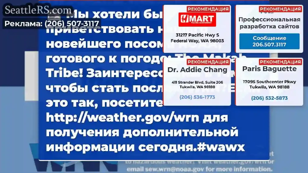 Мы хотели бы приветствовать нашего новейшего