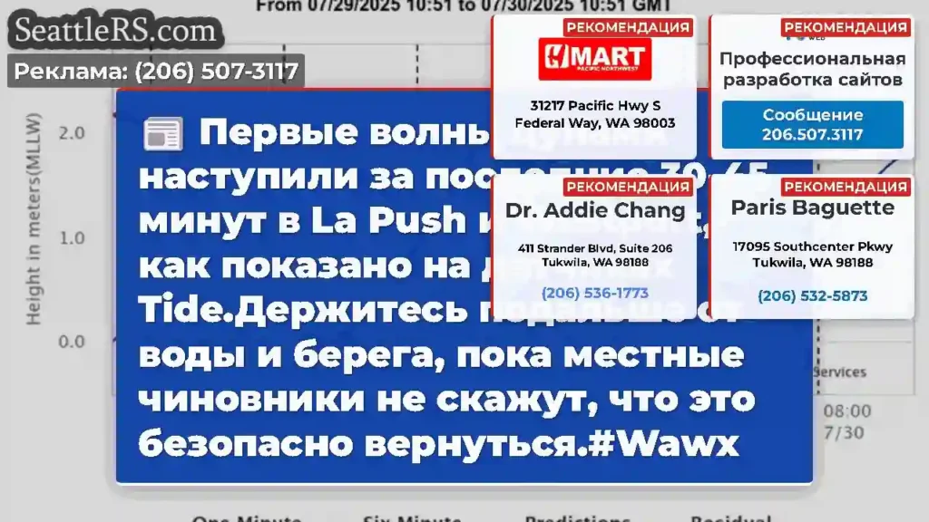 Первые волны цунами наступили за последние 30-45
