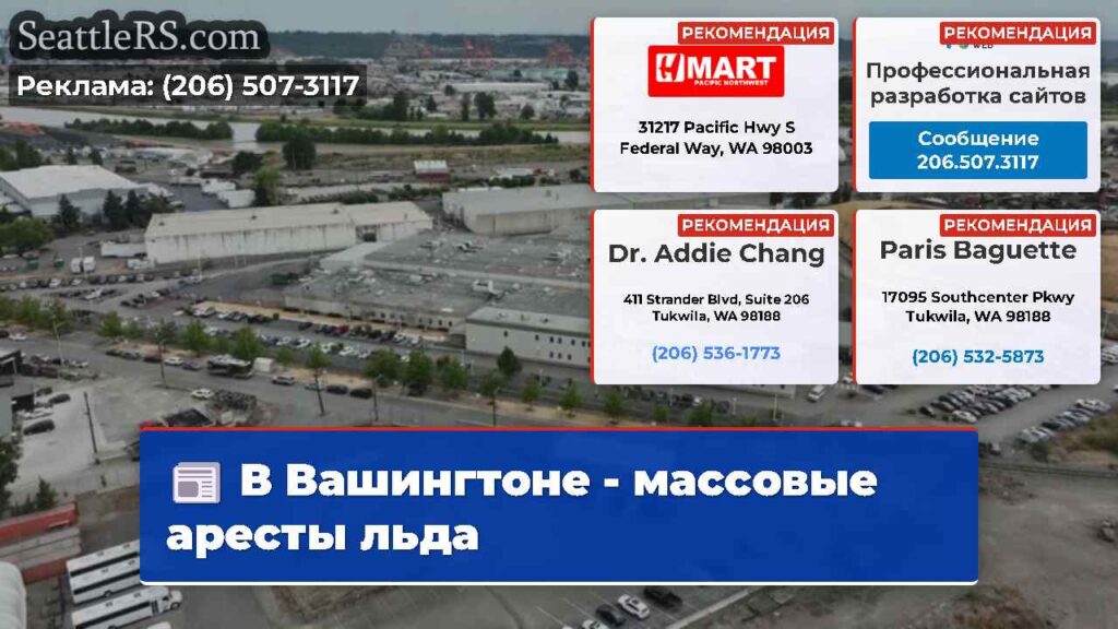 В Вашингтоне - массовые аресты льда