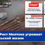 Рост Милтона угрожает сельской жизни