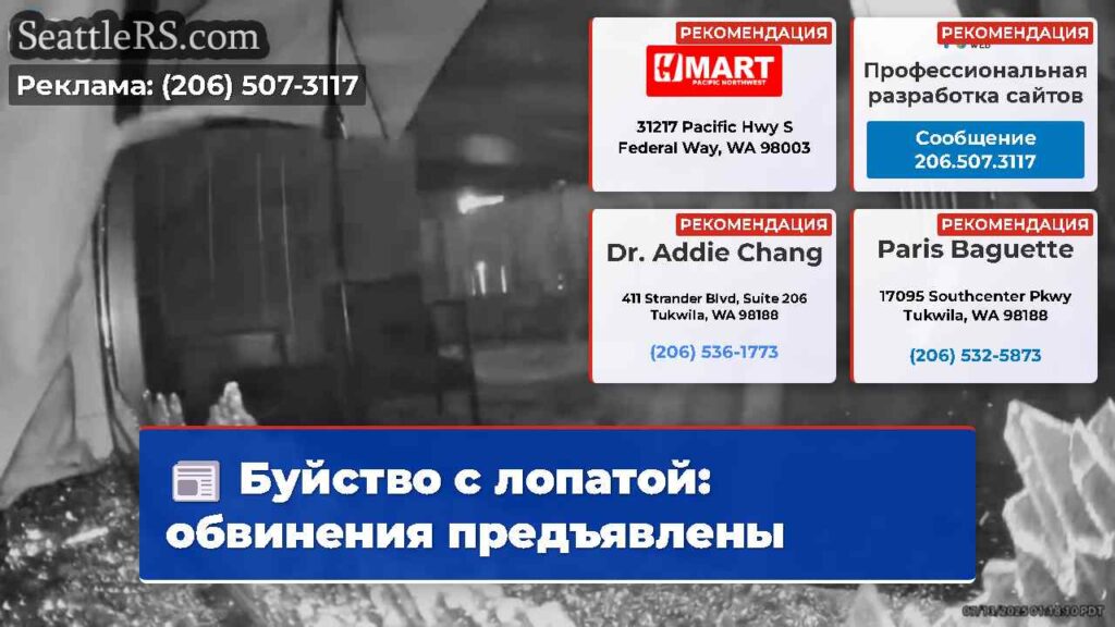 Буйство с лопатой: обвинения предъявлены