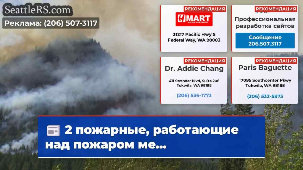2 пожарные, работающие над пожаром ме...