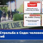 Стрельба в Содо человек погиб
