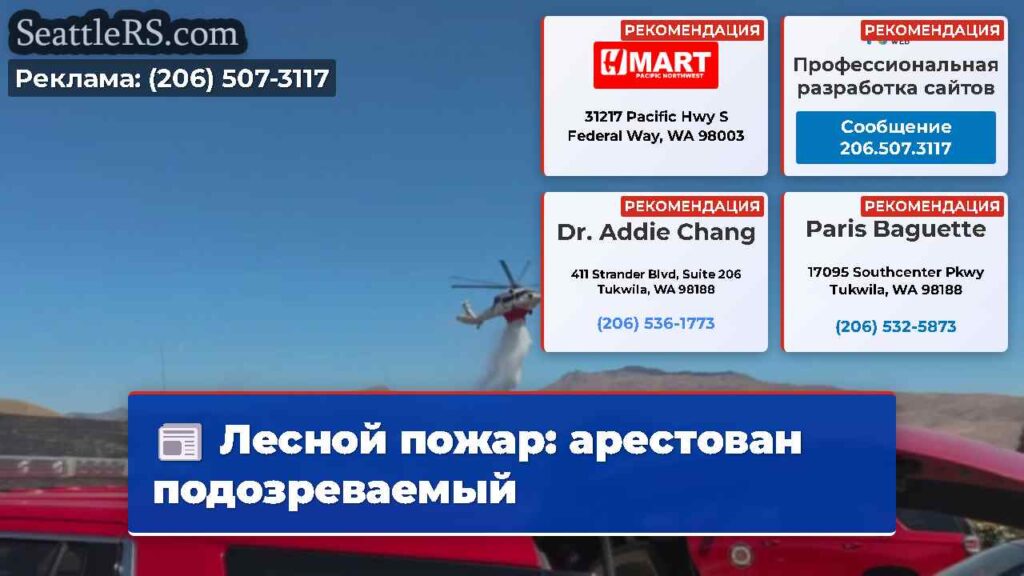 Лесной пожар: арестован подозреваемый