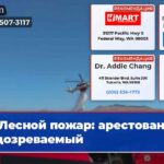 Лесной пожар арестован подозреваемый