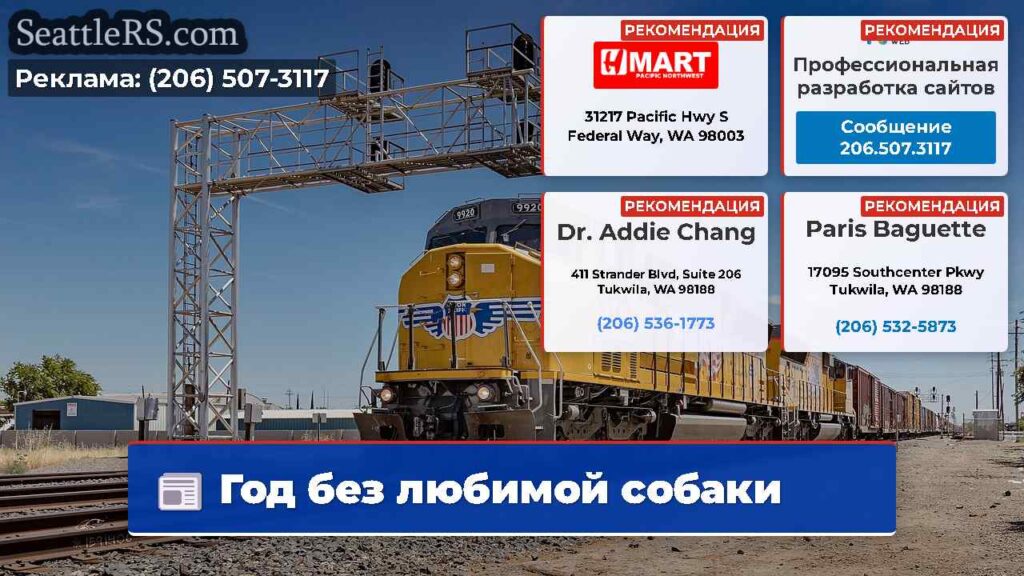 Год без любимой собаки
