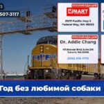 Год без любимой собаки