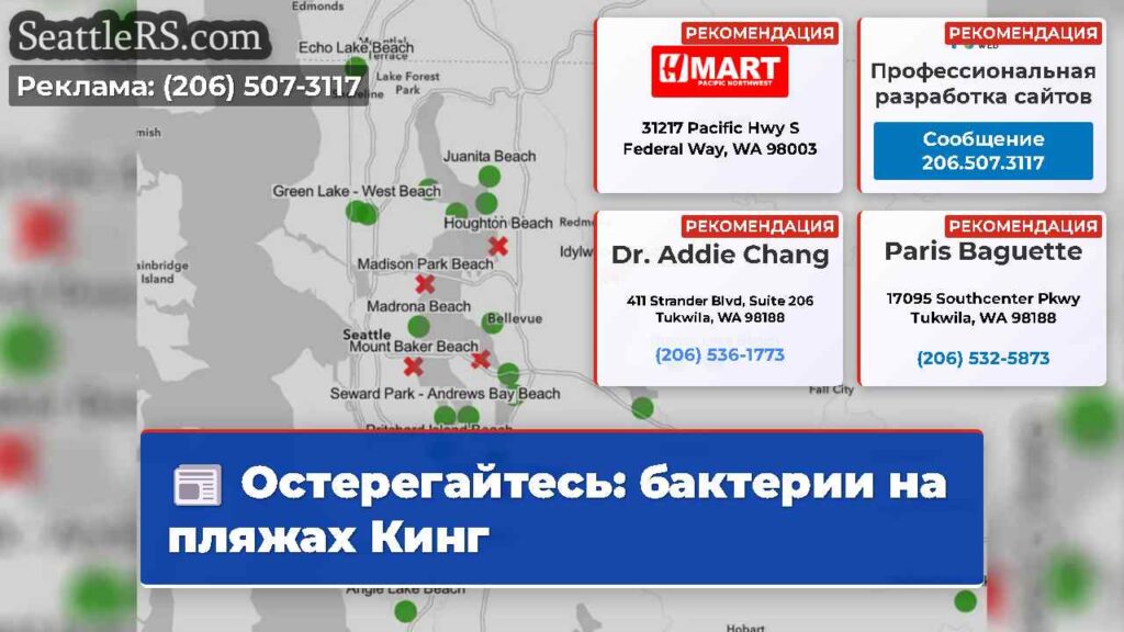 Остерегайтесь: бактерии на пляжах Кинг