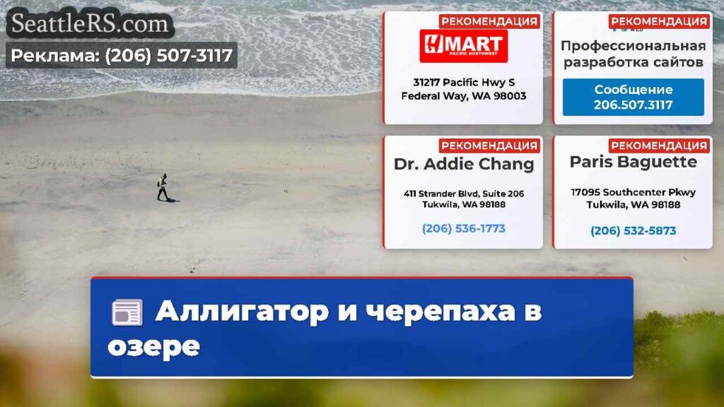 Аллигатор и черепаха в озере