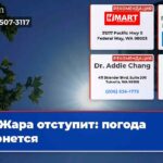 Жара отступит погода вернется