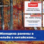 Женщина ранены в стрельбе в китайском…