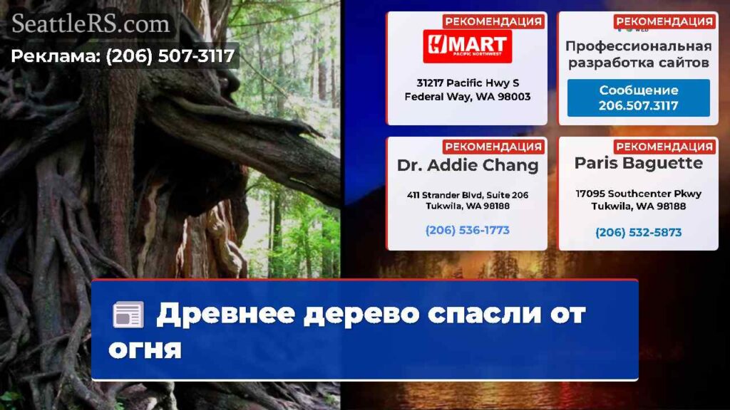 Древнее дерево спасли от огня