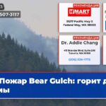 Пожар Bear Gulch горит до зимы