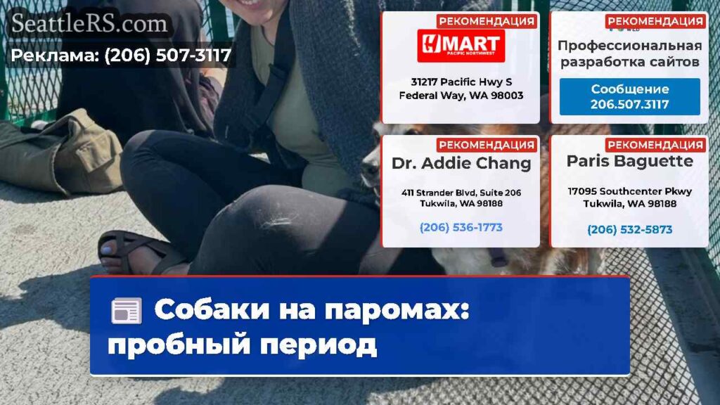 Собаки на паромах: пробный период